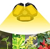 Niello Pflanzenlampe LED, L-ZB 2021 Neueste Pflanzenlicht LED Grow Lampe mit IR, UV,High PPFD Sunlike Full Spectrum LED Grow Light f¡§1r Zimmerpflanzen Gem¡§1se und Blumen von 120 * 120cm (100W)