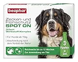 Zecken- und Flohschutz SPOT ON für Hunde über 15 kg