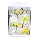 TGG 10 Stück Schmetterlinge Mix mit Clip, 2 Größen Sortiment bunt, Feder !!!