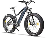 Fitifito FT26 Elektrofahrrad Fatbike E Bike Pedelec, 48V 250W Heckmotor, 48v 13ah 624wh Samsung Akku, hydraulische Bremsen, Büchel Scheinwerfer