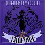 Laufrad