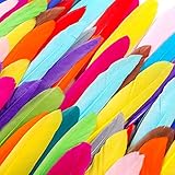LEBENESWERT Indianer Federn 500pcs, 10-15cm Natürliche Gänsefedern für Verschiedene DIY Handwerk Kopfschmuck, Ohrringe und Hochzeit Geburtstag Festival Hausparty Dekoration & Braut Babyparty (Bunt)