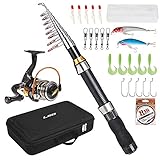 Festnight Tragbare Angelrute und Rolle Combo Teleskop Angelrute Pole Spinning Reel Set Angelschnur Lockt Haken Barrel Wirbel mit Tragetasche Fall Travel Fishing Full Package Kit
