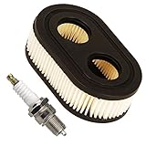 Luftfilter mit Zündkerze für Rasenmäher-Motoren von Briggs & Stratton 798452 593260 Ersatzteil für Oregon 30–168 Rotary 14364, von OuyFilters