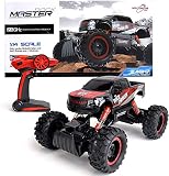 FunTomia Maximum RC Ferngesteuertes Auto für Kinder - 4WD Monstertruck - XL RC Auto für Kinder ab 8 Jahren - Rock Crawler (Auto)