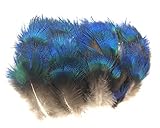 ERGEOB Pfauenfedern blaufedern DIY Basteln Federn 6-8 cm (2-3 Zoll) Länge