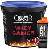 Whey Gainer Protein, 100% reiner Hardgainer, 3000g Eimer, Erdbeer Eiweißpulver + Shaker