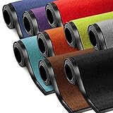etm Schmutzfangmatte ColorLine | Türmatte in vielen Größen | Fußmatte für Innenbereich | Rutschfester Teppich für Flur, Haustür, Eingang, Eingangsbereich, Vorzimmer - Silbergrau 60x90 cm