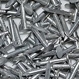 Verzinkte Dachpappe Clout Nägel 13 mm (Packung mit 240)