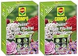 Compo Duaxo Rosen Pilz-Frei, Bekämpfung von Pilzkrankheiten an Allen Zierpflanzen, Konzentrat inkl. Messbecher, 260 ml