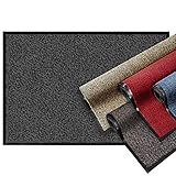 casa pura® Premium Fußmatte | Sauberlaufmatte für Eingangsbereiche | Fußabtreter mit Testnote 1,7 | Schmutzfangmatte in 8 Größen als Türvorleger innen und außen | anthrazit - grau | 60x90cm
